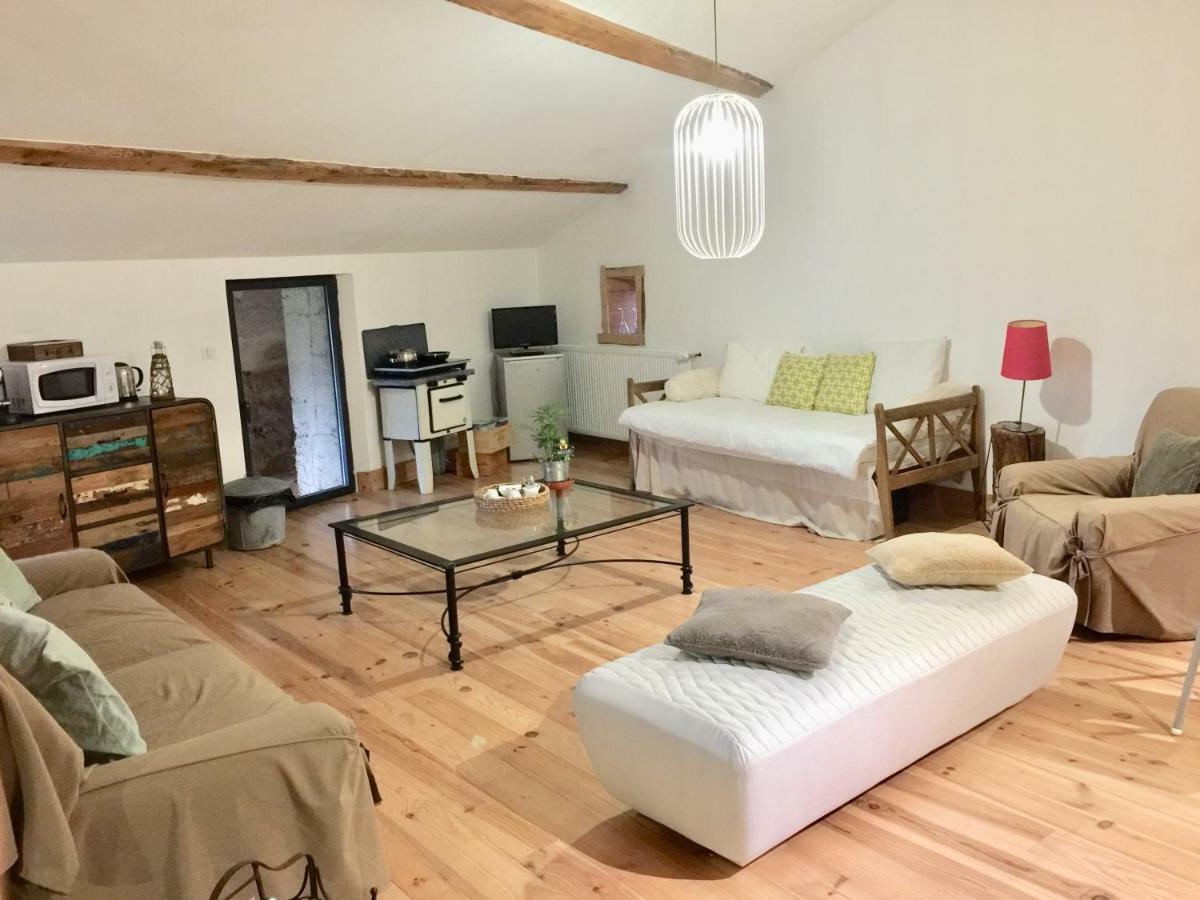Magnificent Renovated Farmhouse - 10 Min A7 - Apartment Anneyron Ngoại thất bức ảnh